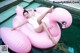 A woman laying on a pink flamingo floating in a pool.